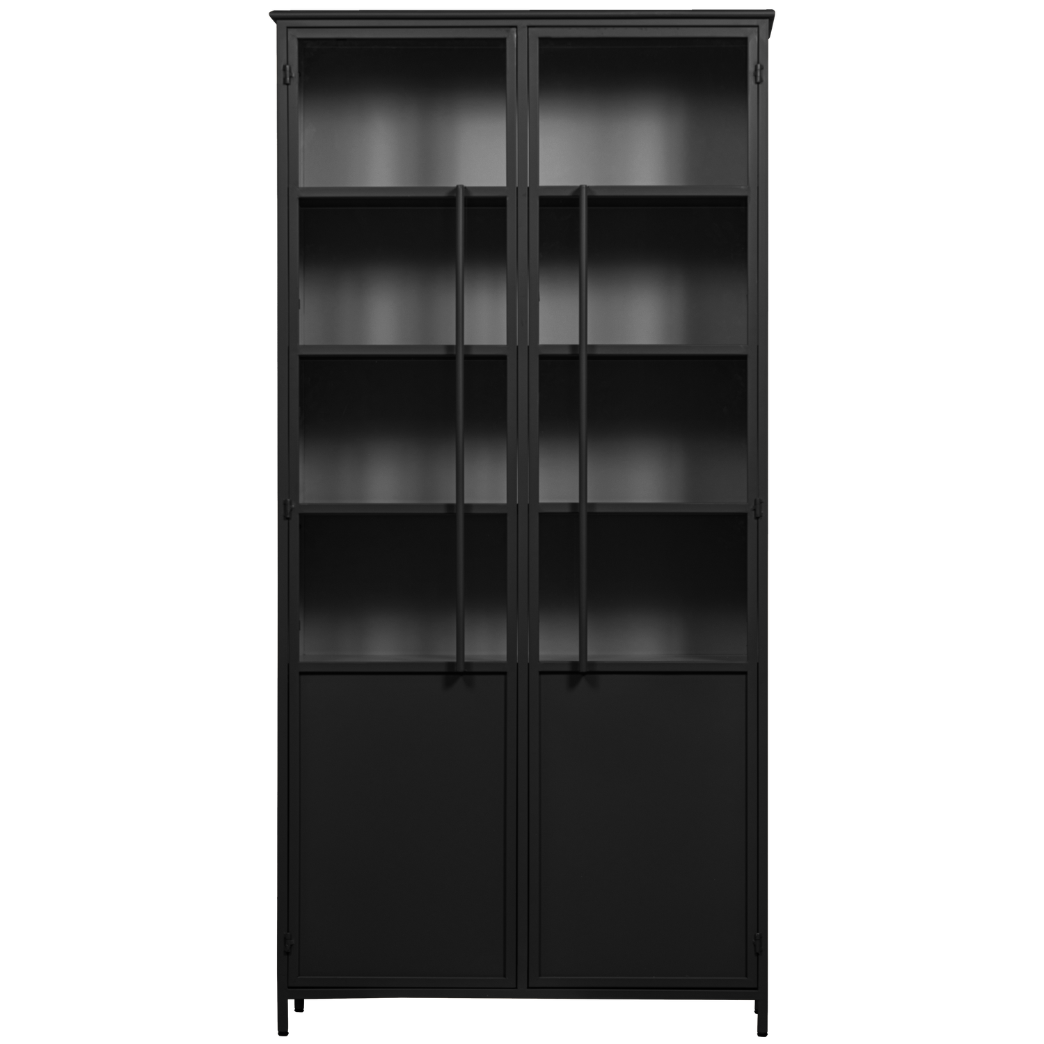 EXHIBIT XL 2-TURIG VITRINE SCHRANK METALL SCHWARZ