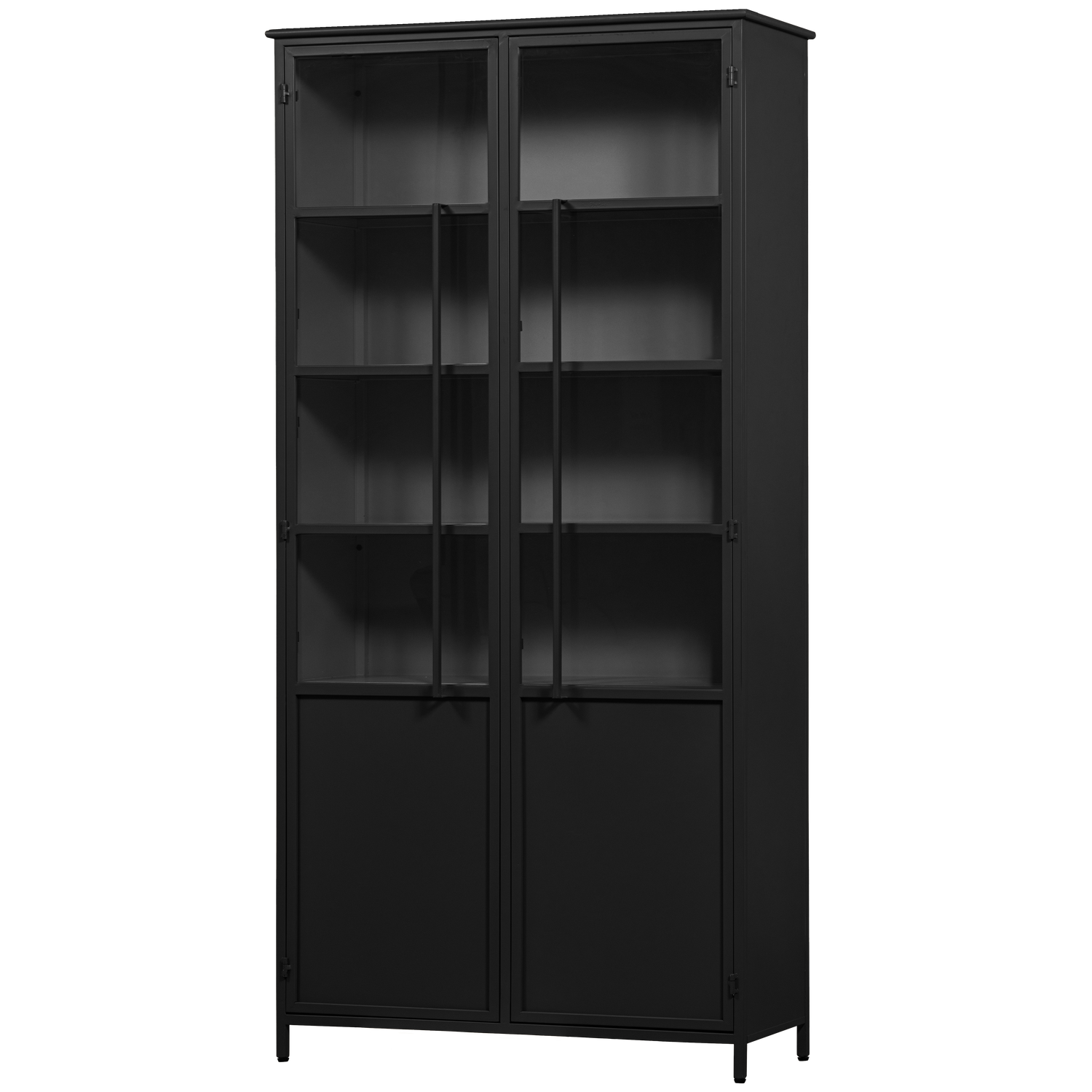 EXHIBIT XL 2-TURIG VITRINE SCHRANK METALL SCHWARZ