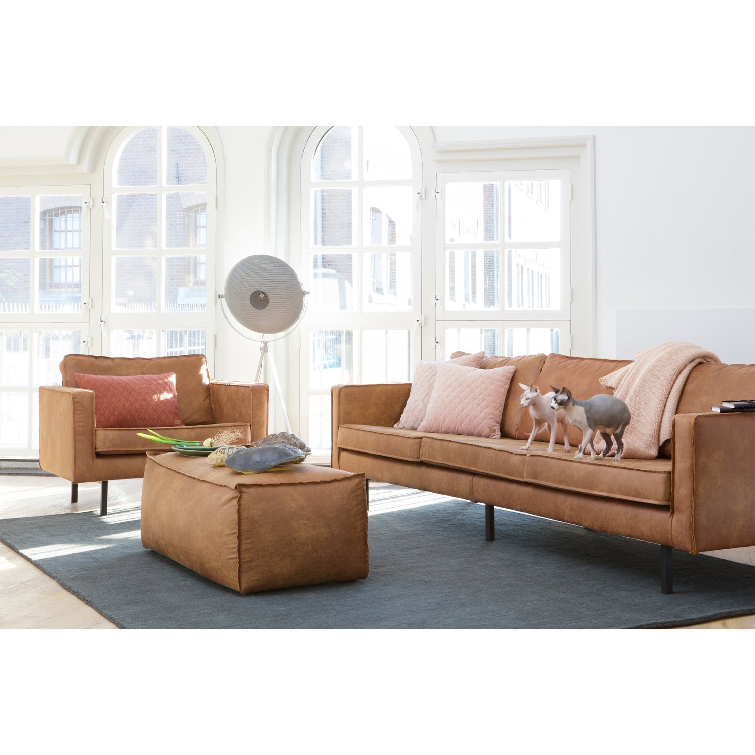 RODEO SOFA 3-SEATER COGNAC